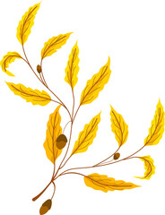 Autumn Leaf Illustration 