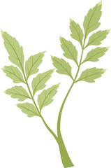 Plant Vector Illustration 