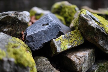 A close-up study of rough-hewn stones shows a textured interplay of natural elements, highlighting the raw beauty of time and nature.