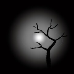 Bare tree silhouette against a bright light in dark background
