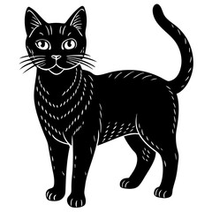 black and white cat
