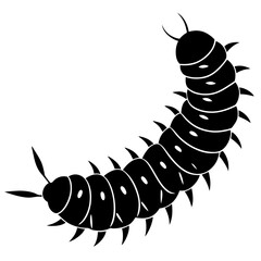 caterpillar on white background