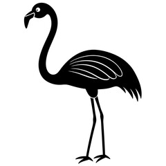 flamingo vector illustration