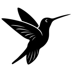 hummingbird vector illustration