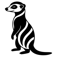 penguin vector illustration