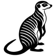 meerkat on a white background