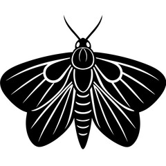butterfly vector illustration
