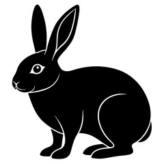 vector illustration of a rabbit