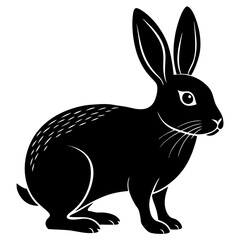 black and white rabbit