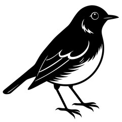 crow on a branch
