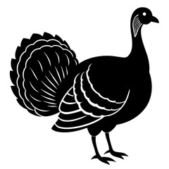 vector illustration of a turkey