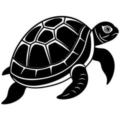 turtle vector illustration