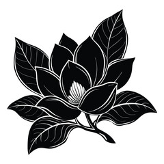 Fototapeta premium Magnolia Flower Silhouette