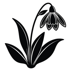 Simple Snowdrop Silhouette