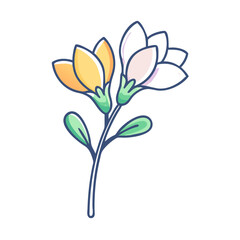 Fototapeta premium Delicate illustration of a two toned flower with yellow and white petals and green leaves on a single stem