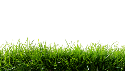A patch of vibrant green grass against a stark black background in a simple composition style