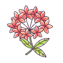Beautiful Cluster of Coral Pink Flowers with Lush Green Leaves Botanical Illustration