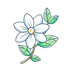 Charming White Flower with Green Leaves Botanical Illustration
