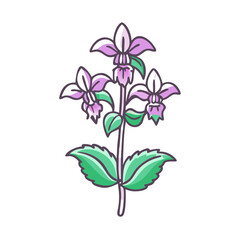 Illustration of a Purple Flower with Three Blooms and Green Leaves