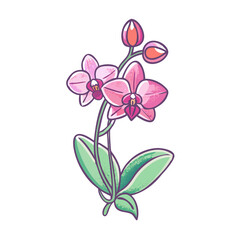 Naklejka premium Beautiful Pink Orchid Flower Blossom with Green Leaves Botanical Illustration