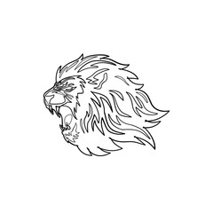 lion head vector line art, hand drawn illustration 