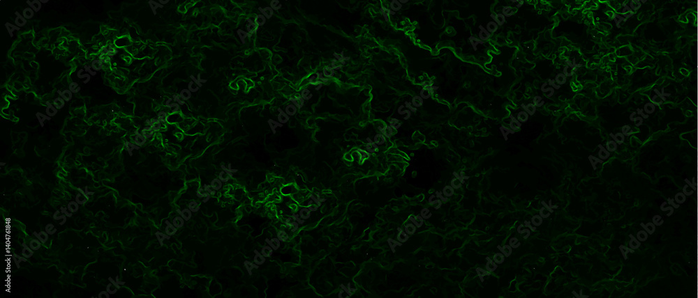Poster Abstract background with swirling green energy patterns. Nebula-inspired void, with glowing filaments and a deep, mysterious ambiance. Texture with subtle green wisps and thin swirling lines.