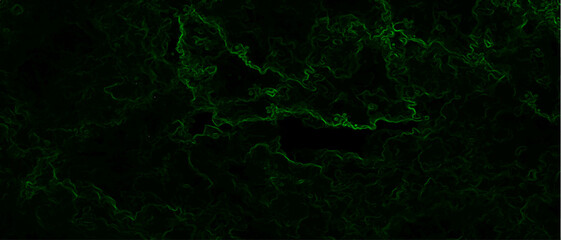 Abstract background with swirling green energy patterns. Nebula-inspired void, with glowing filaments and a deep, mysterious ambiance. Texture with subtle green wisps and thin swirling lines.