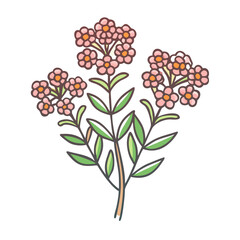 A Lovely Bunch of Delicate Pink Flowers with Green Leaves Botanical Illustration
