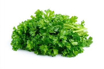 Obraz premium Fresh Parsley Bunch Isolated on White Background Ready for Cooking