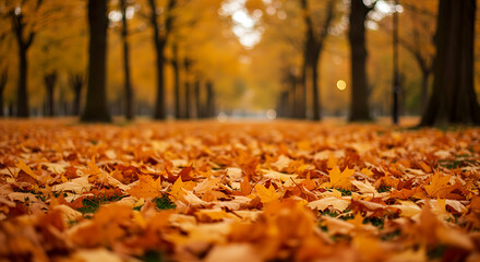 Orange Fall Leaves – Natural Autumn Park Background
