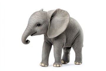 Obraz premium Baby Elephant Walking Isolated on White Background