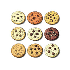 Obraz premium Assorted Delicious Chocolate Chip Cookies - Hand-Drawn Illustration