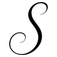 Fototapeta premium Elegant vintage swirl ornament, black curved decorative calligraphic vector element