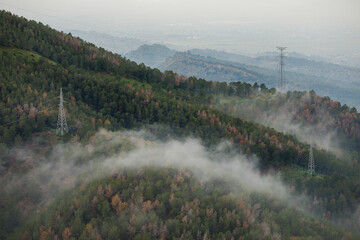 Slopes of Mediterranean pine forest in the El Valle y Carrascoy Natural Park in the city of Murcia, Spain, on a cloudy day