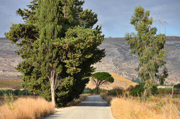 Sicilian Country Road,