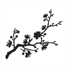 Elegant Line Drawing of Plum Blossom Branch black silhouette
