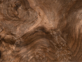 Walnut briar veneer exhibiting rich, dark swirls and intricate wood grain