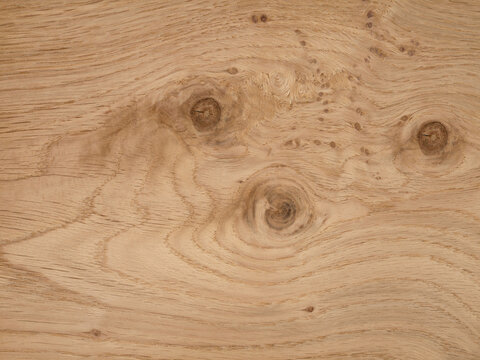 Oak Roseneiche veneer showcasing a medley of knots and rich grain details