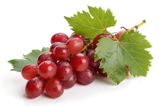 Bunch of red grapes with fresh green vine leaves isolated on white background.  Cluster of ripe red grapes with bright green leaves on white background.