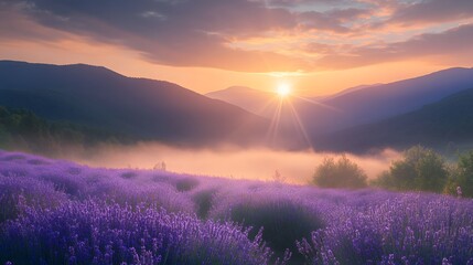 A serene mountain landscape with layers of fog lifting to reveal the sun rising symbolizing clarity and hope