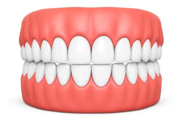 Obraz premium Realistic 3D Rendering of Human Teeth Model Suitable for Education