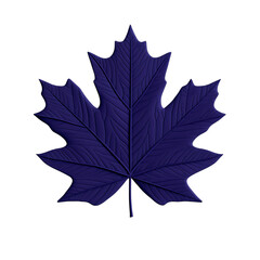 Obraz premium Png of A striking purple maple leaf with detailed veins, showcasing nature's unique textures and patterns.