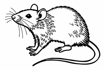 vector illustration of a mouse
