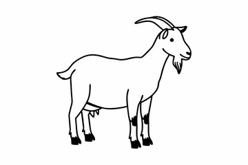 goat isolated on white