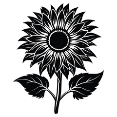 Black and White Sunflower Illustration