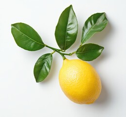 Freshly picked lemon with green leaves on a pristine white background, showcasing vibrant yellow color and natural beauty for culinary and health themes