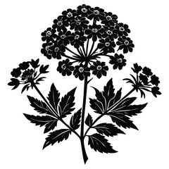 Vector floral  with black and white flower elements for spring nature pattern design