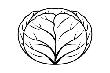 Simple Cabbage Outline Vector Illustration Fresh Vegetable With Bold Lines On White Background Agricultural Food