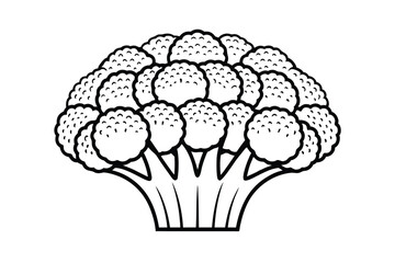 Simple Monochrome Cauliflower Line Art Illustration Graphic Design Element Healthy Vegetable Minimalist Outline Culinary Concept Vegan Food Isolated On White