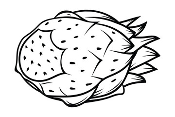 Dragon Fruit Detailed Line Art Exotic Tropical Fruit Illustration Black And White Minimalist Style Vector Graphic